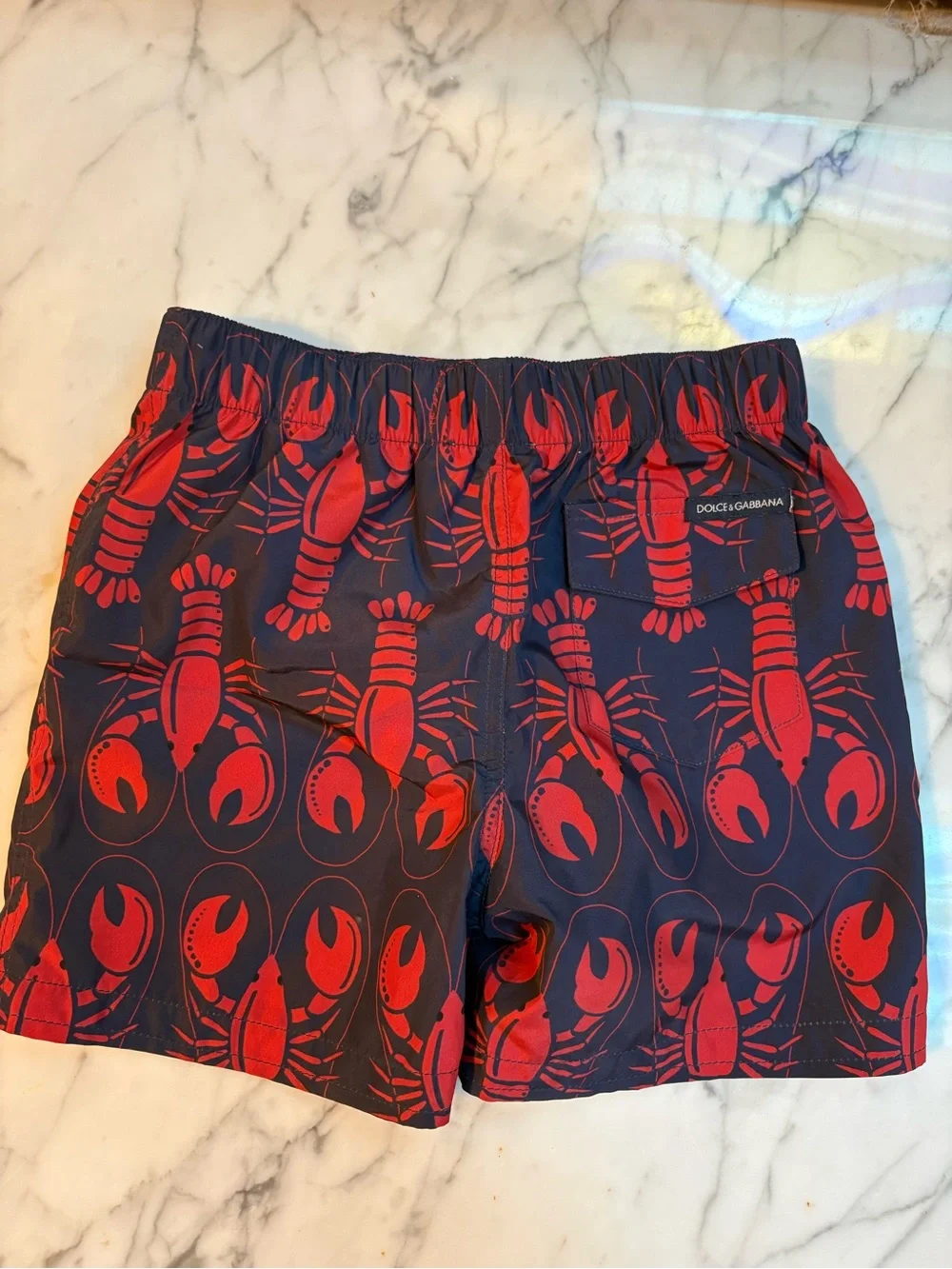 Dolce & Gabbana Navy Swim Shorts with Red Print 9month NWOT